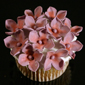 Cup cakes with flowers