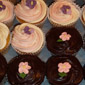 Cup cakes Pink and Chocolate