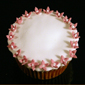 Cup cake with White iceing